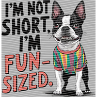 Animal Text Series-AT 27